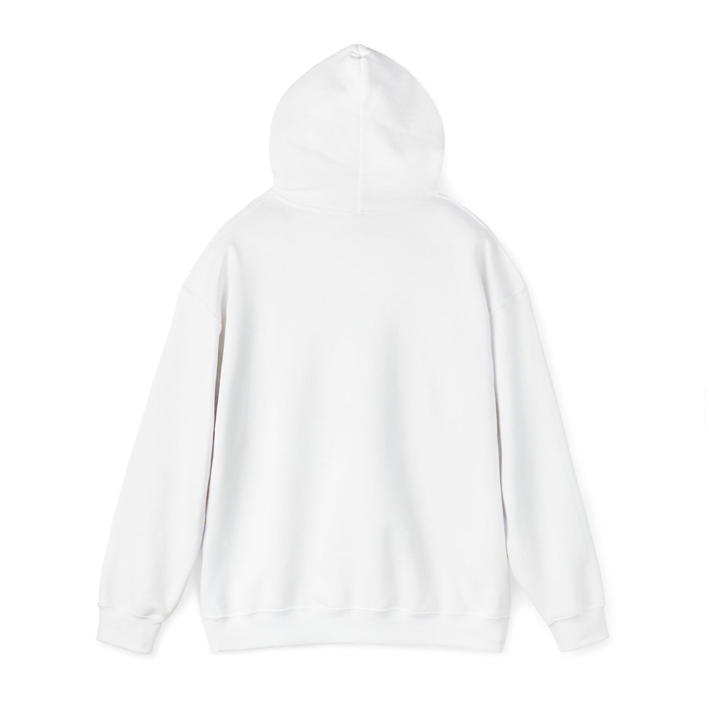 Funny Christmas Hoodie Always naughty never nice