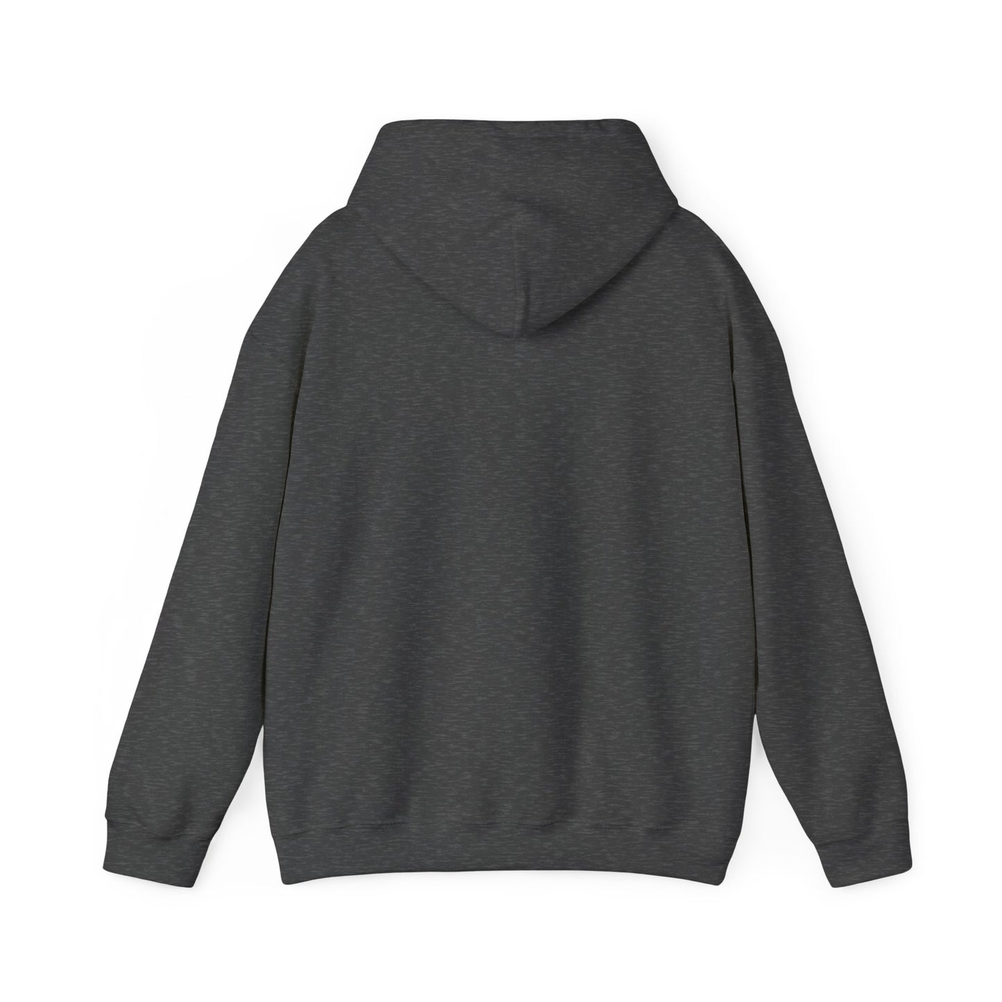 Funny Christmas Hoodie Always naughty never nice