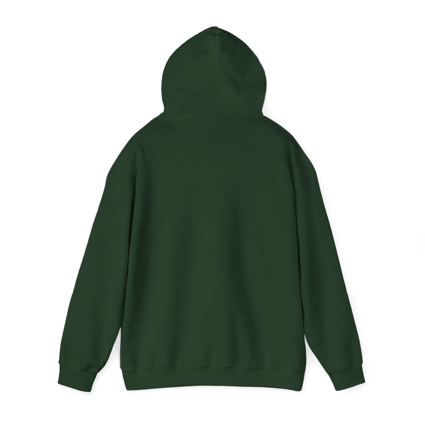 Funny Christmas Hoodie Always naughty never nice