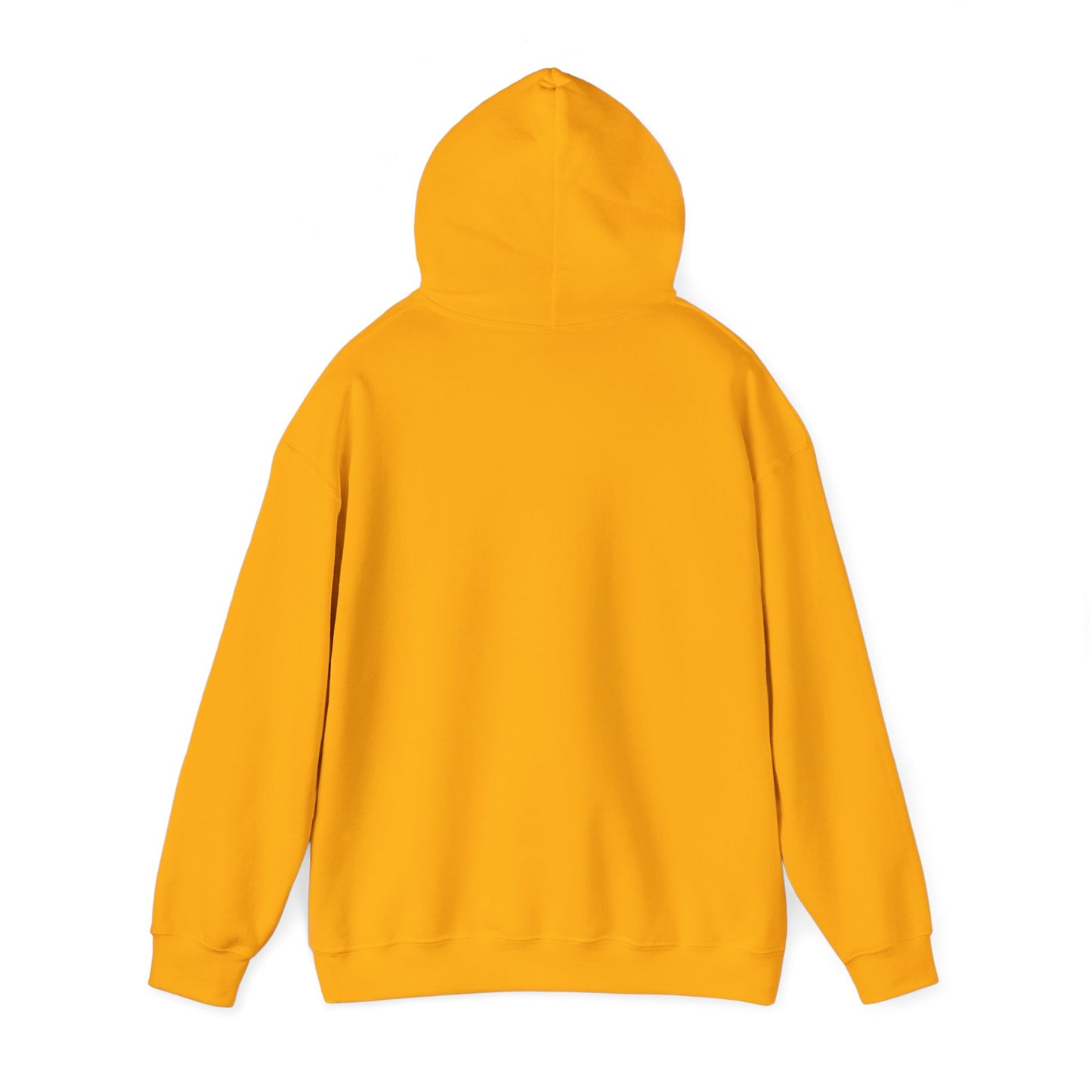 Funny Christmas Hoodie Always naughty never nice