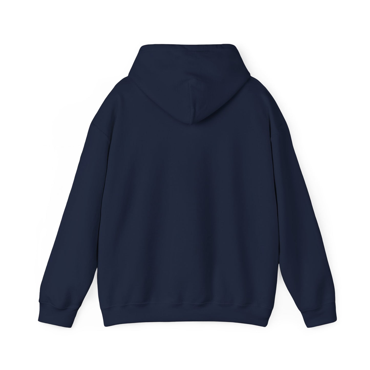 Funny Christmas Hoodie Always naughty never nice