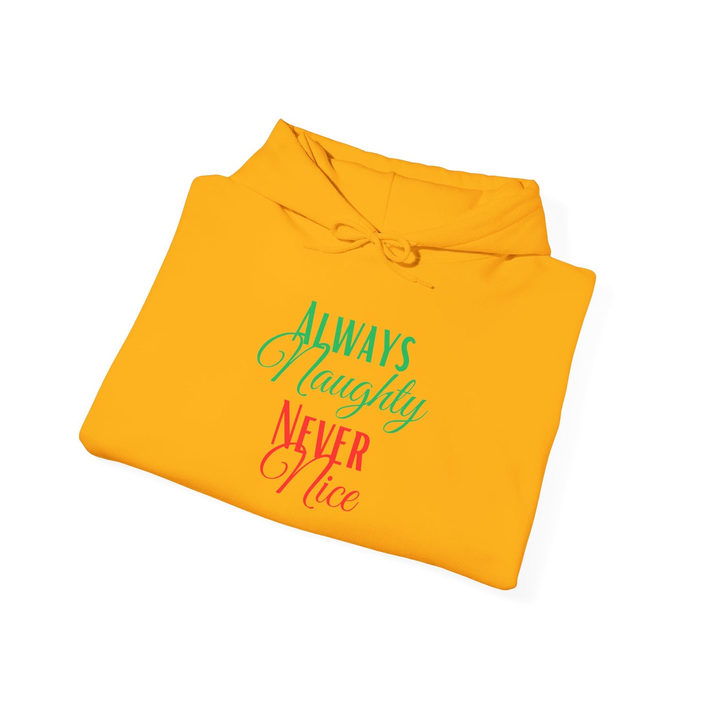 Funny Christmas Hoodie Always naughty never nice