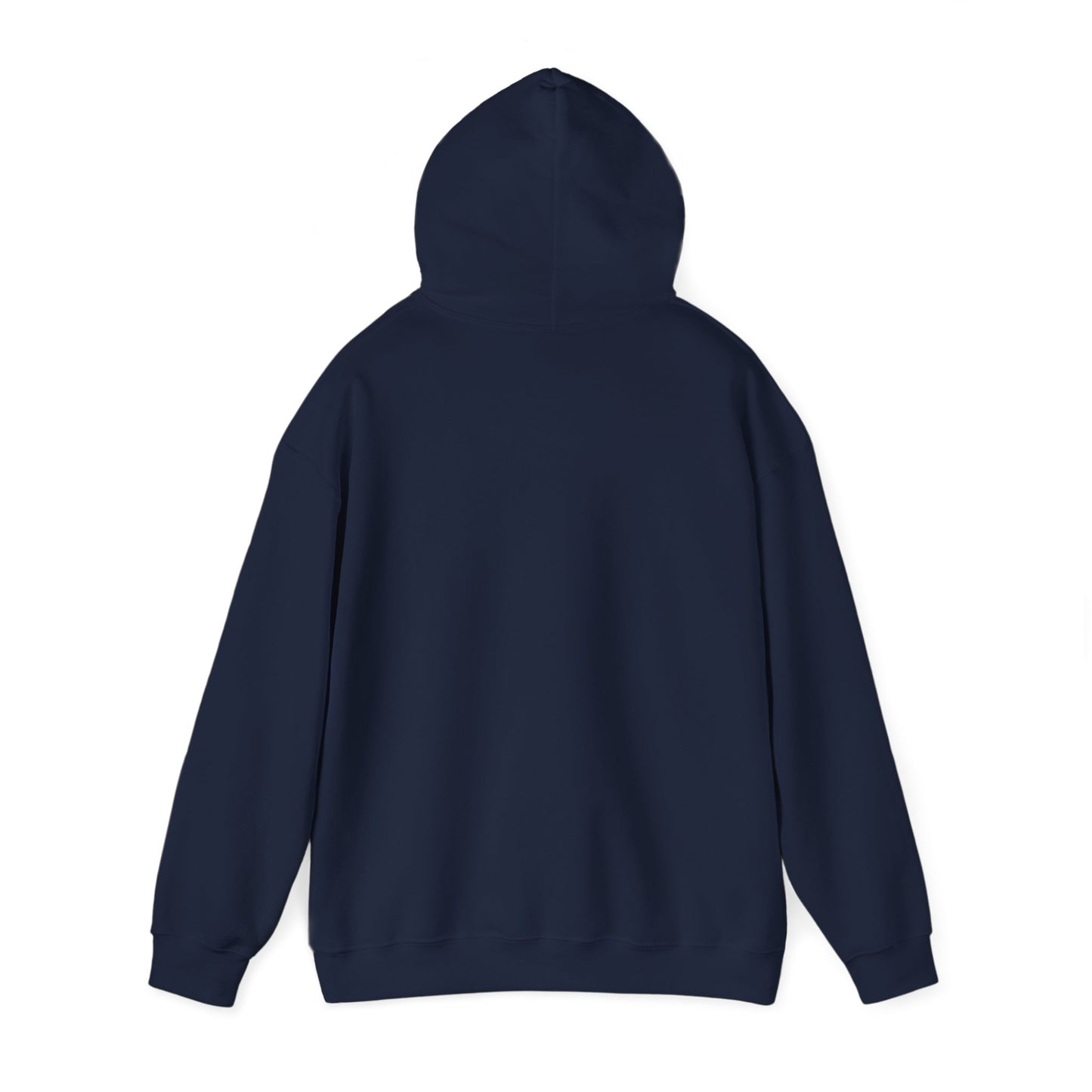 Funny Christmas Hoodie Always naughty never nice