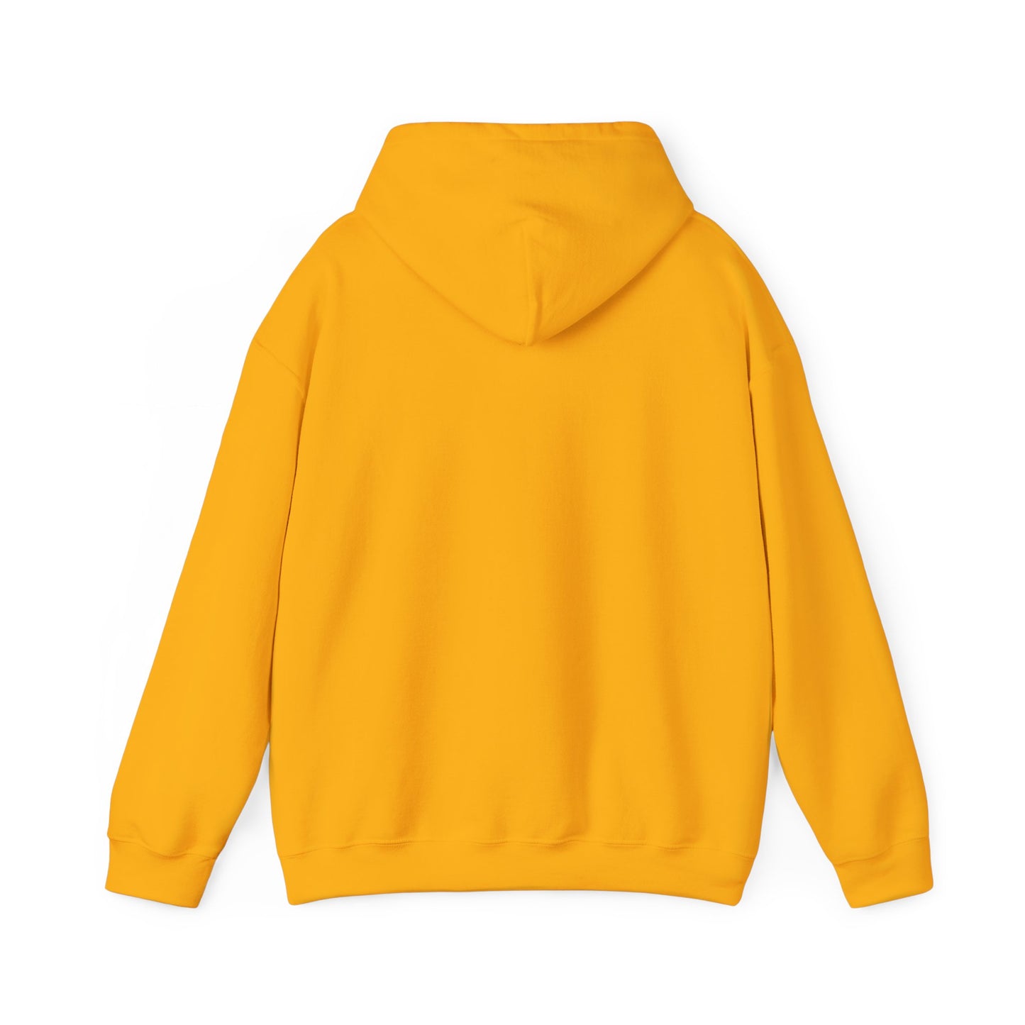 Funny Christmas Hoodie Always naughty never nice