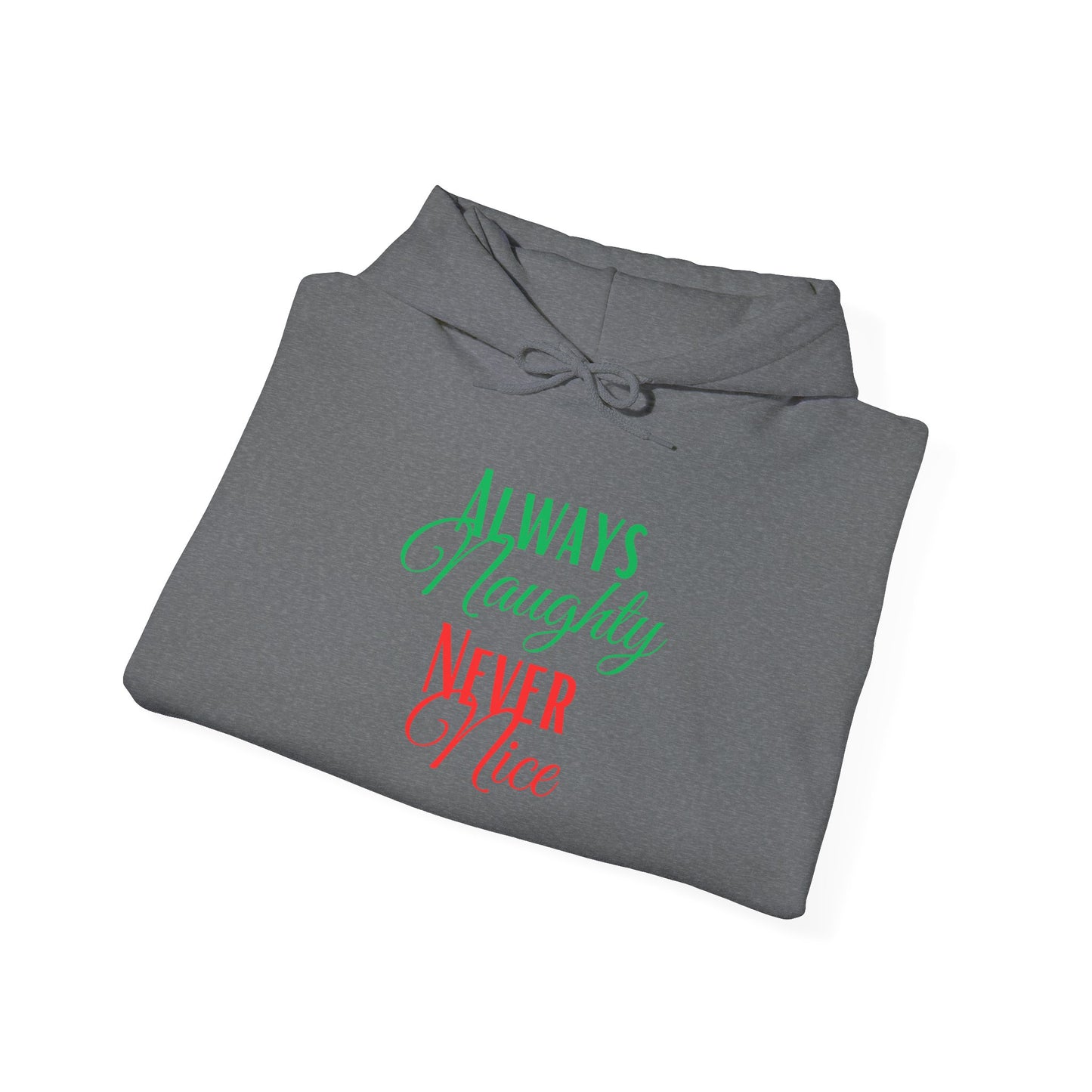 Funny Christmas Hoodie Always naughty never nice