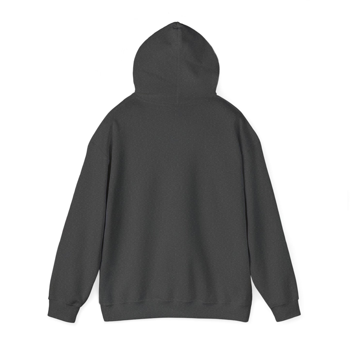 Funny Christmas Hoodie Always naughty never nice
