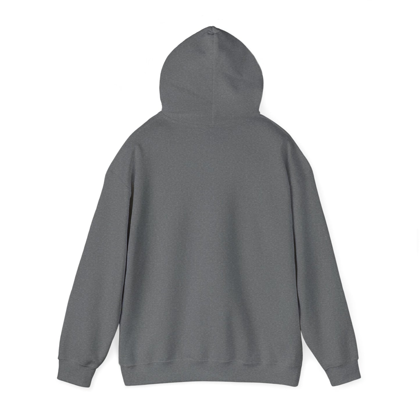 Funny Christmas Hoodie Always naughty never nice