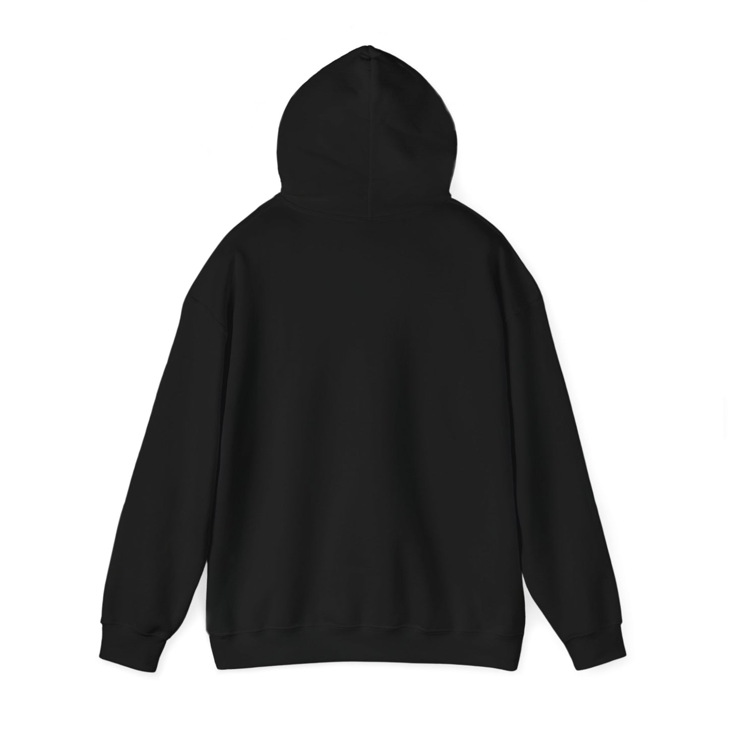 Funny Christmas Hoodie Always naughty never nice