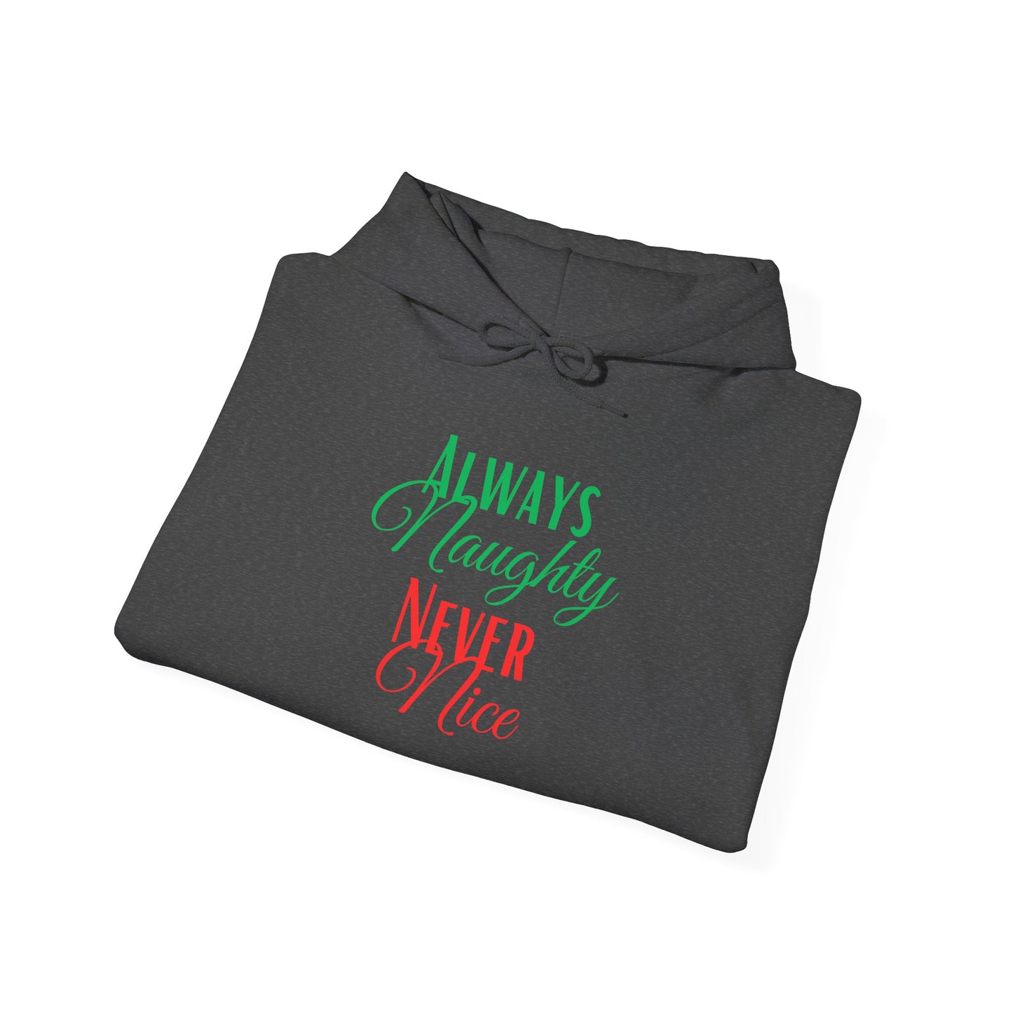 Funny Christmas Hoodie Always naughty never nice