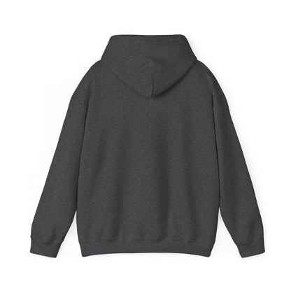Funny Christmas Hoodie Always naughty never nice