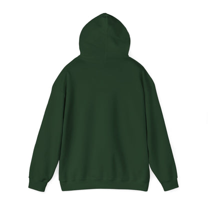 Funny Christmas Hoodie Always naughty never nice