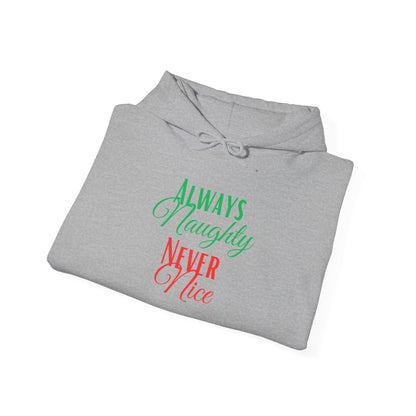 Funny Christmas Hoodie Always naughty never nice