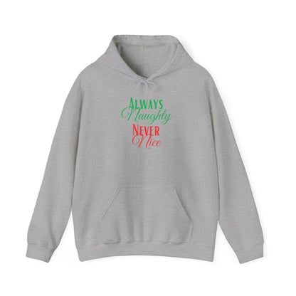 Funny Christmas Hoodie Always naughty never nice