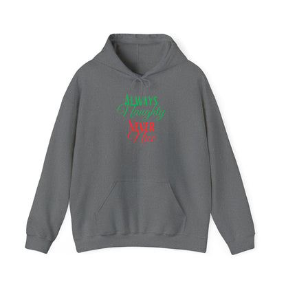 Funny Christmas Hoodie Always naughty never nice