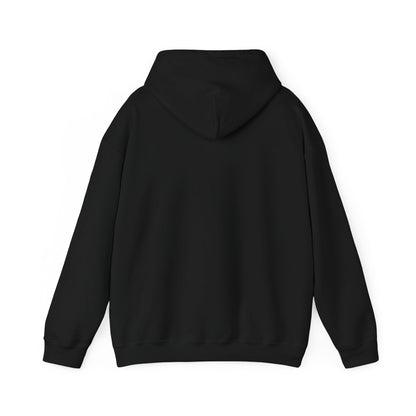 Funny Christmas Hoodie Always naughty never nice