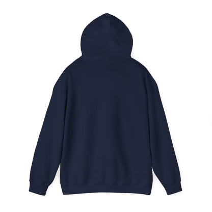 Funny Christmas Hoodie Always naughty never nice