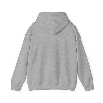 Funny Christmas Hoodie Always naughty never nice