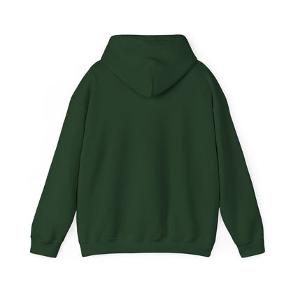 Funny Christmas Hoodie Always naughty never nice
