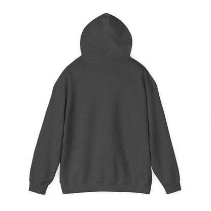 Funny Christmas Hoodie Always naughty never nice