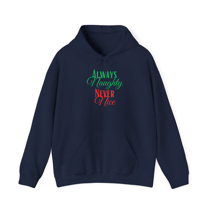 Funny Christmas Hoodie Always naughty never nice
