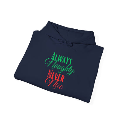 Funny Christmas Hoodie Always naughty never nice