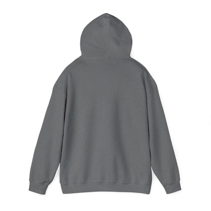 Funny Christmas Hoodie Always naughty never nice