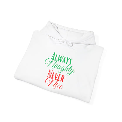 Funny Christmas Hoodie Always naughty never nice